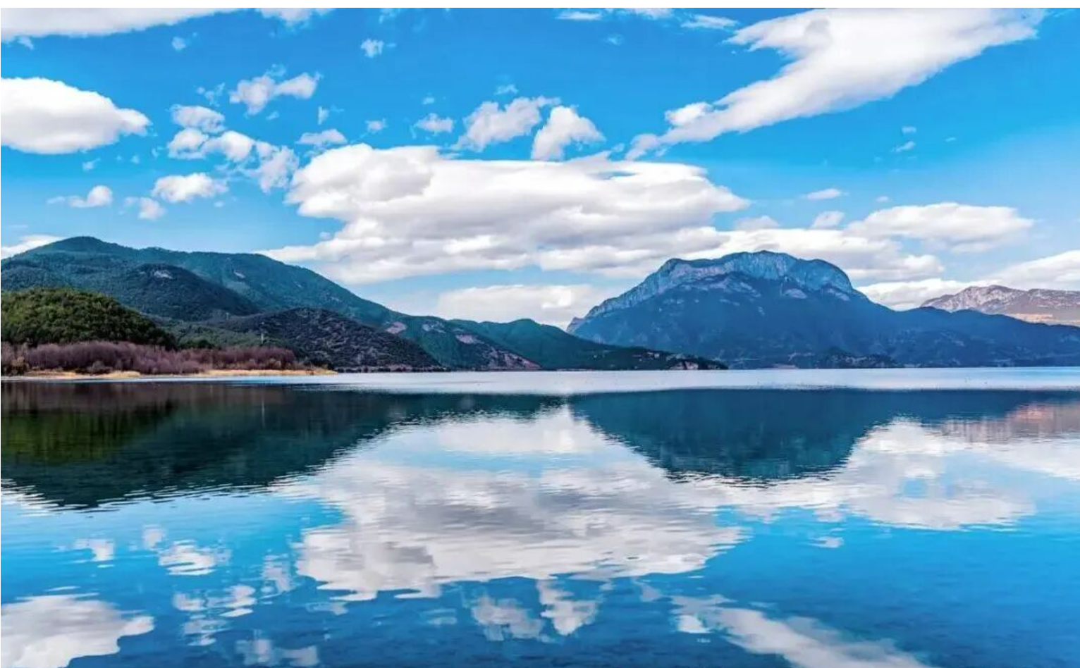 468627fb658f4c2d59ff3ba291314ea1