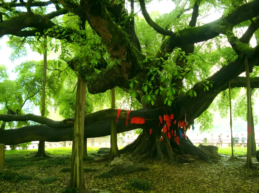 468e35ce42a409b68c6254621a32013f-sz_2155250