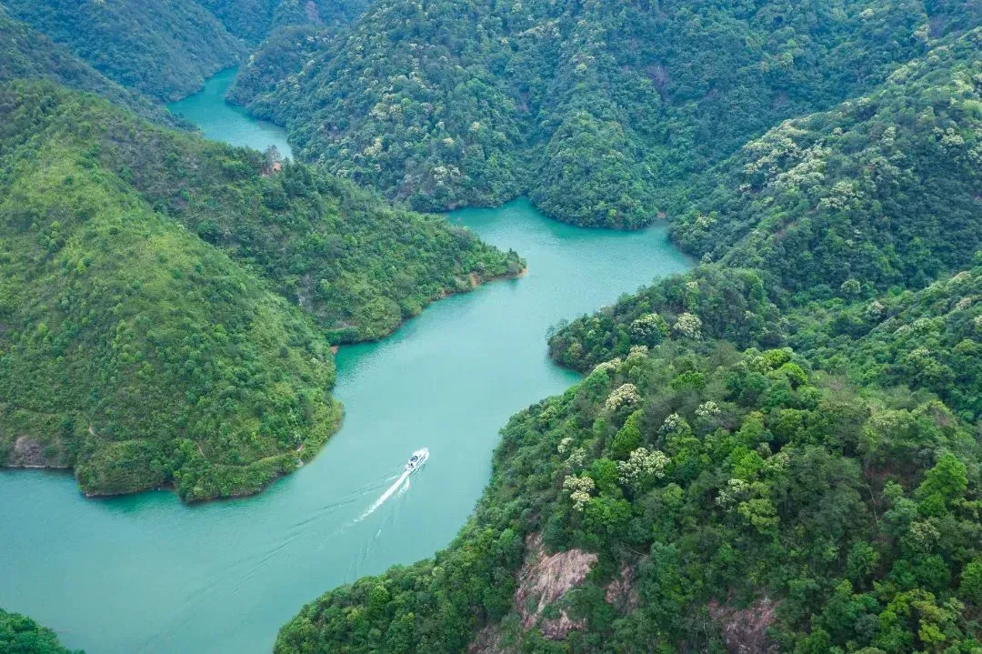 4698e81afbd0af1fa0aa8baae691248b-sz_1514009