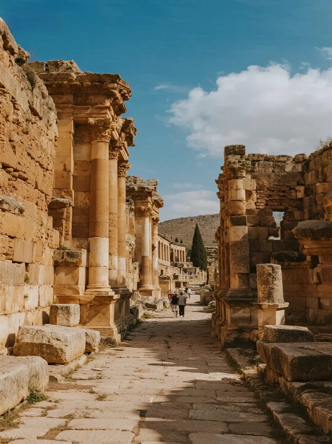 46b521053b33729aeb4be195cd68b25a-sz_404952-1