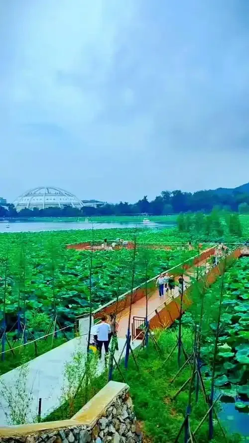 46b786d4d8bf2d71b30401cc5b744888-sz_164677