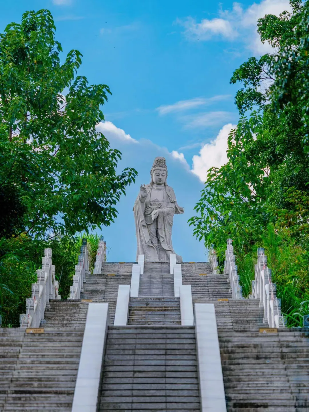 46c6a4bc37e1d2c18f3b19af27716a05-sz_780576