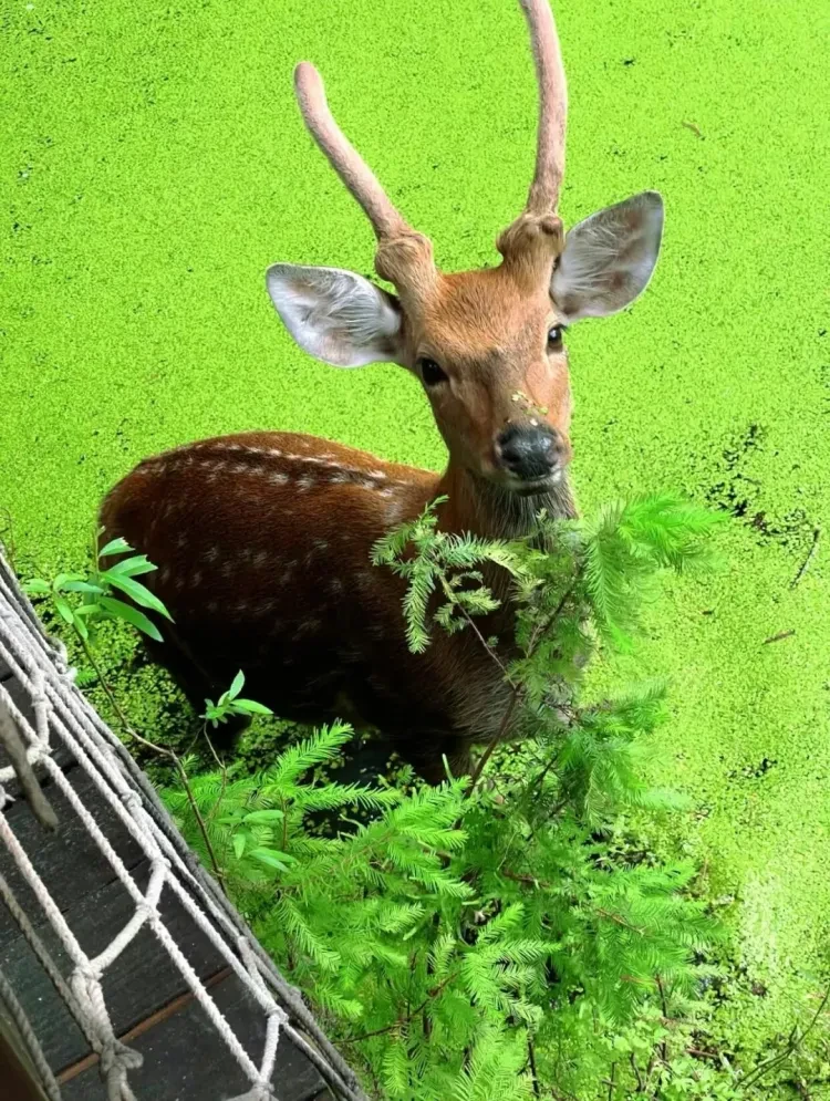 46f1a38ffbfd1f2a69636240b5c65a8b-sz_4218200