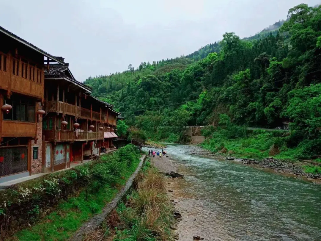 46f3e196d4bd7d2be90af2abbc577a18-sz_236557-1