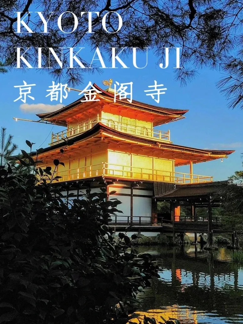 47000ad44bc14a4248b470f6c6ff1fac-sz_327654