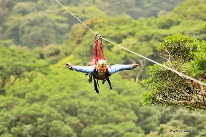 4703b8e09f68a654bc0061506797eb76-sz_236408 4703b8e09f68a654bc0061506797eb76-sz_236408