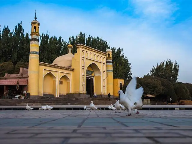 471dc159b7993aa9d95cf092e44db7d9-sz_45449