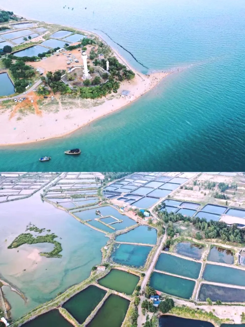 4720e2f87c4df6a83285928de55e15d4-sz_404025