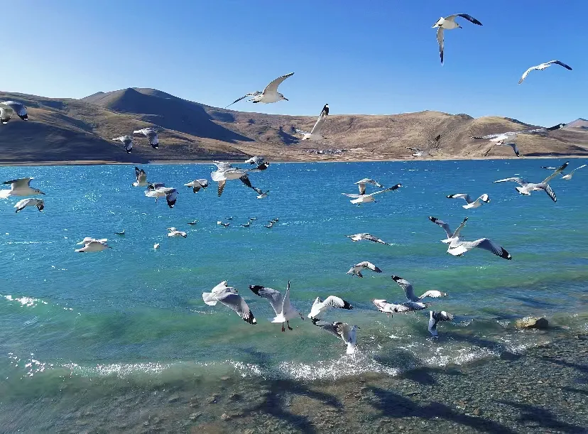 47456d407037afaf3f5098340a98cb6d-sz_460941