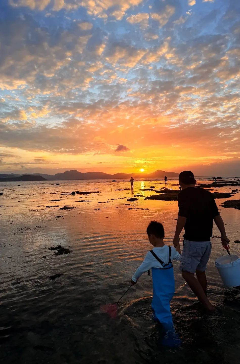 47456f46707610539a900d0446dc5f02-sz_372553