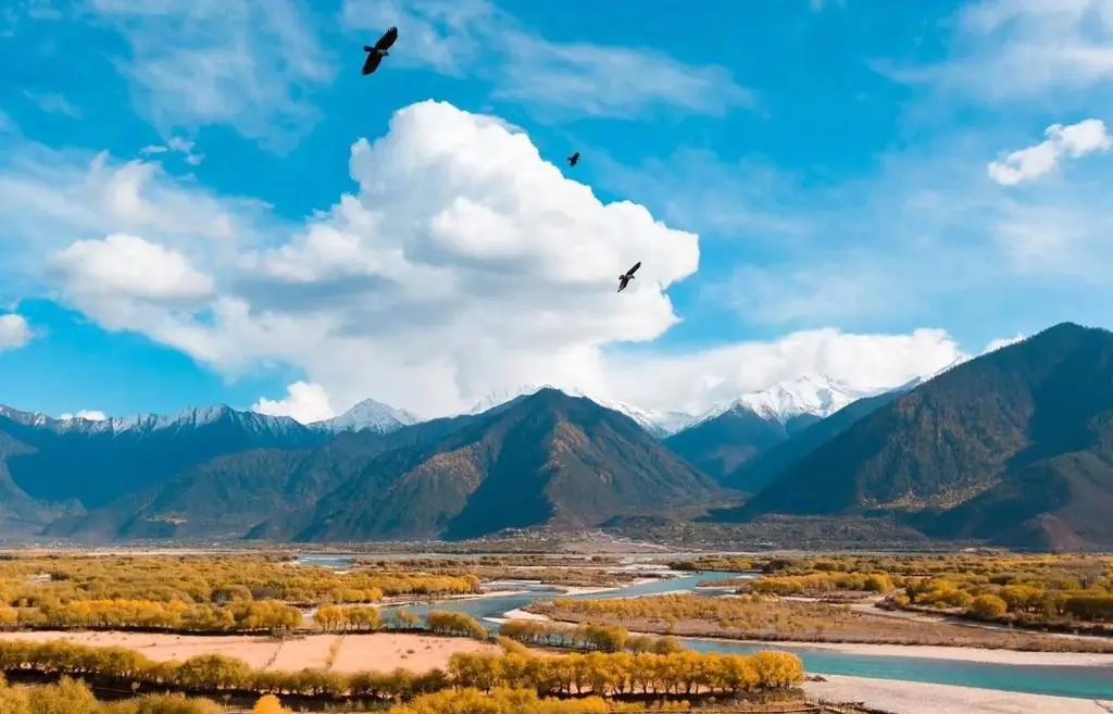 475833ee33efc212e4cbdcb3d2a9cd12-sz_87646