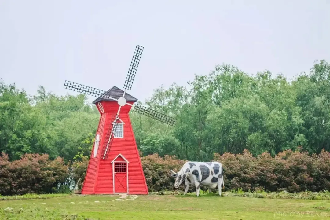 475e1c759250da8d9dbe63d747d52e04-sz_292773 475e1c759250da8d9dbe63d747d52e04-sz_292773