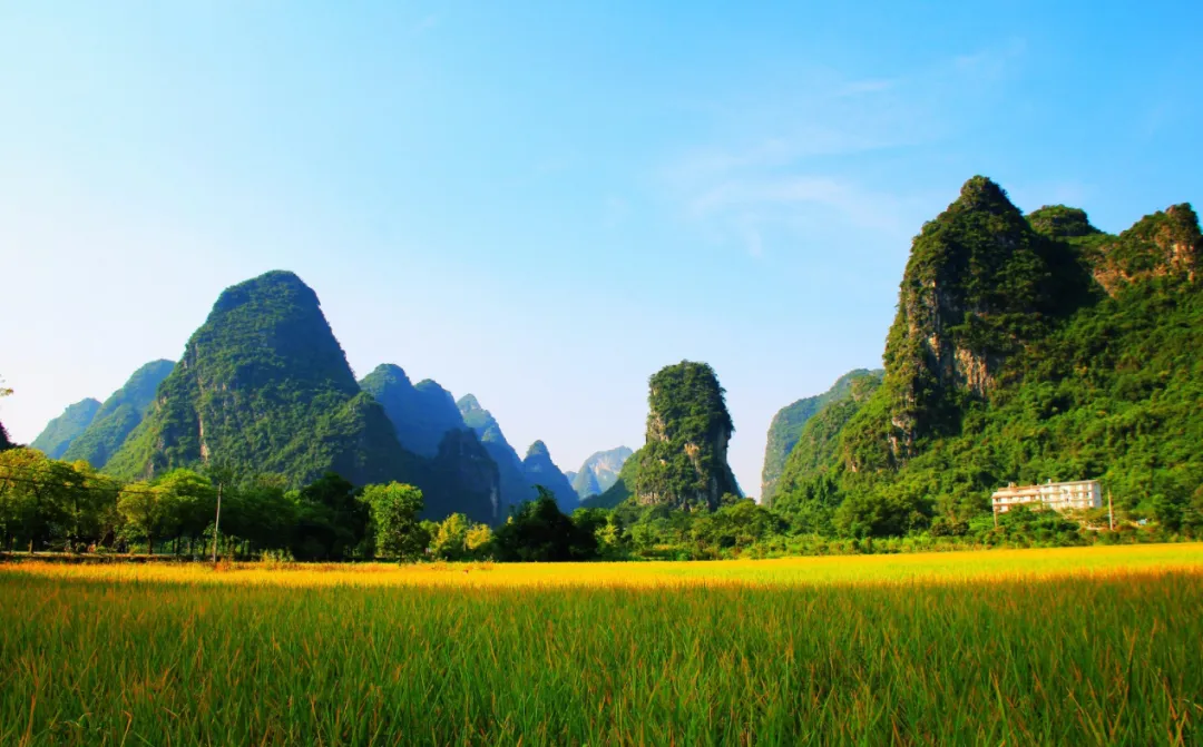 476032c2d4ef26cb8e35cc4b821b4ef2-sz_2207420