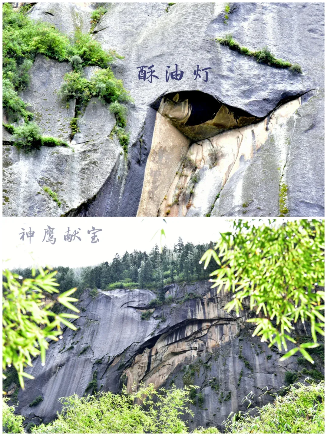 47a67f46485a2ac642f5eca207cb8caf-sz_2887616