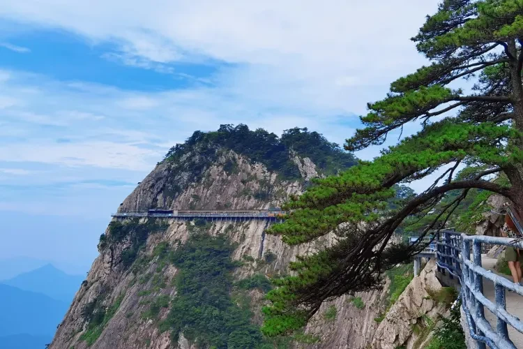 47ab1f8efd89730c0aa761d32b05d31d-sz_472569