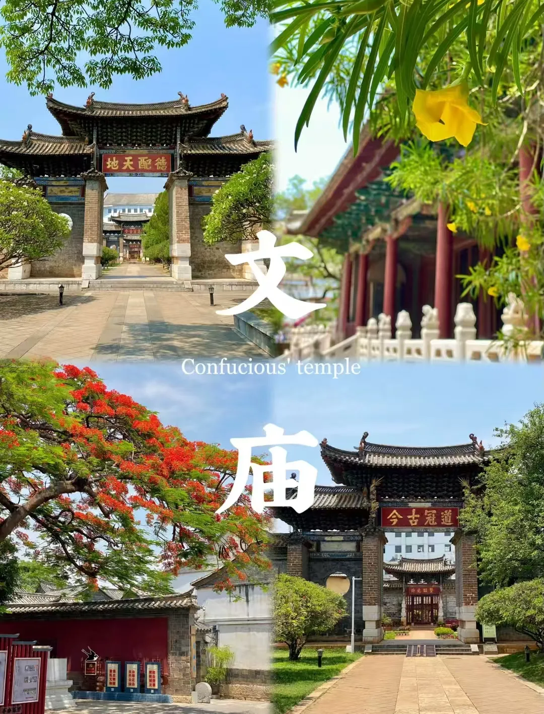 47bc34fd9a20cde9819a2f8c7d83a852-sz_1287559