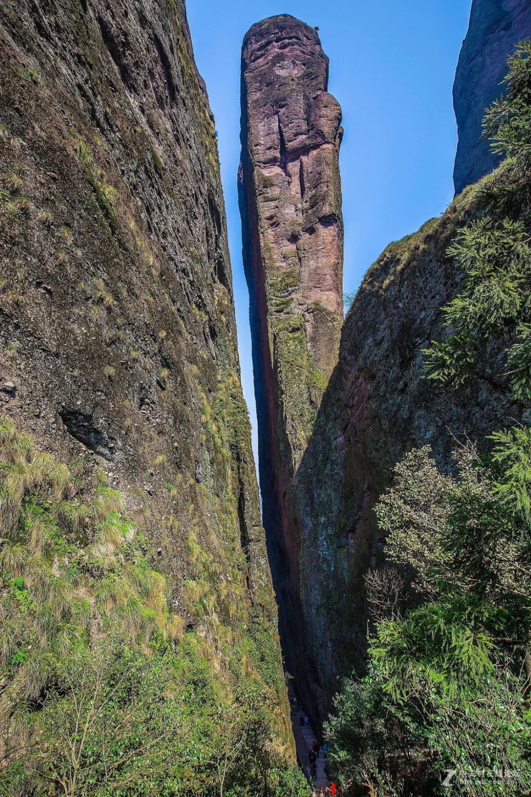 47da46a3d59c5c76617bec1f157559cf-sz_5846295