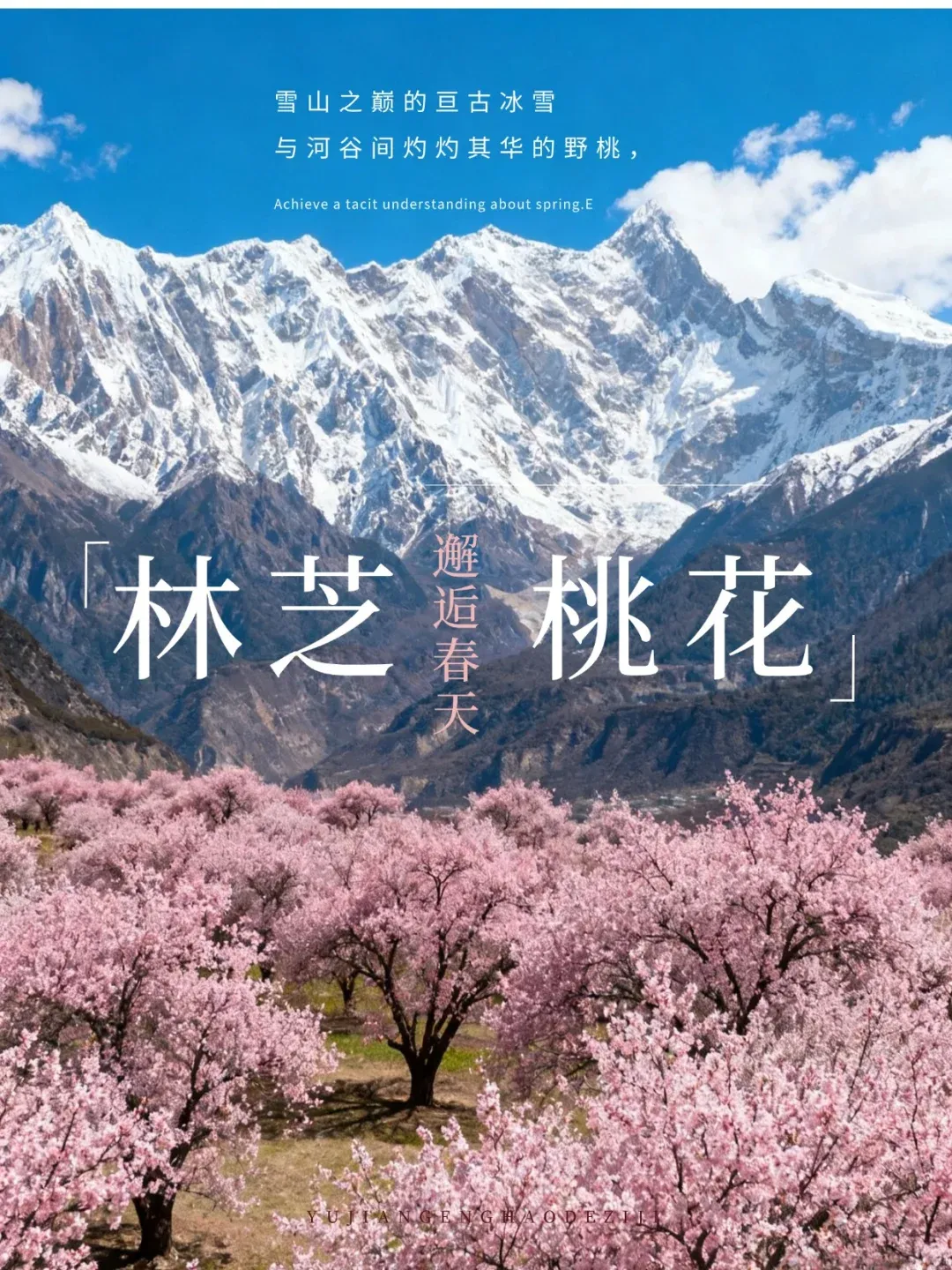 48053b6025808744945e6221023a30cb-sz_2439922