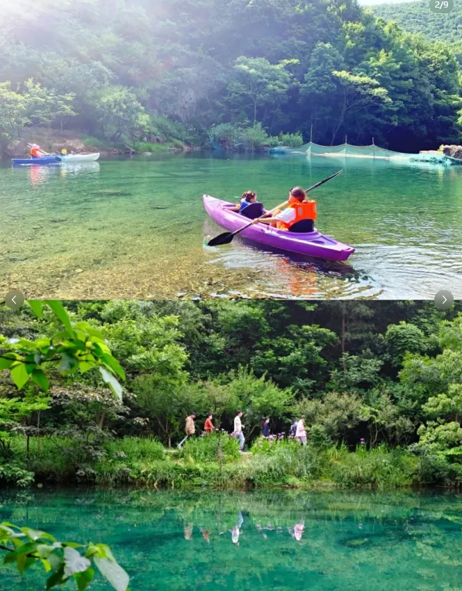 4882e92490c1c34a65035c5496cb2ed1-sz_1182601