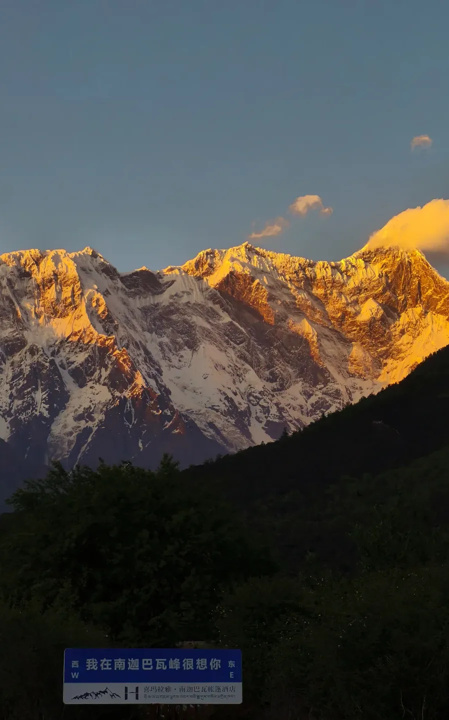 4886762eb559b7b2cea899be48a81c49-sz_1204721