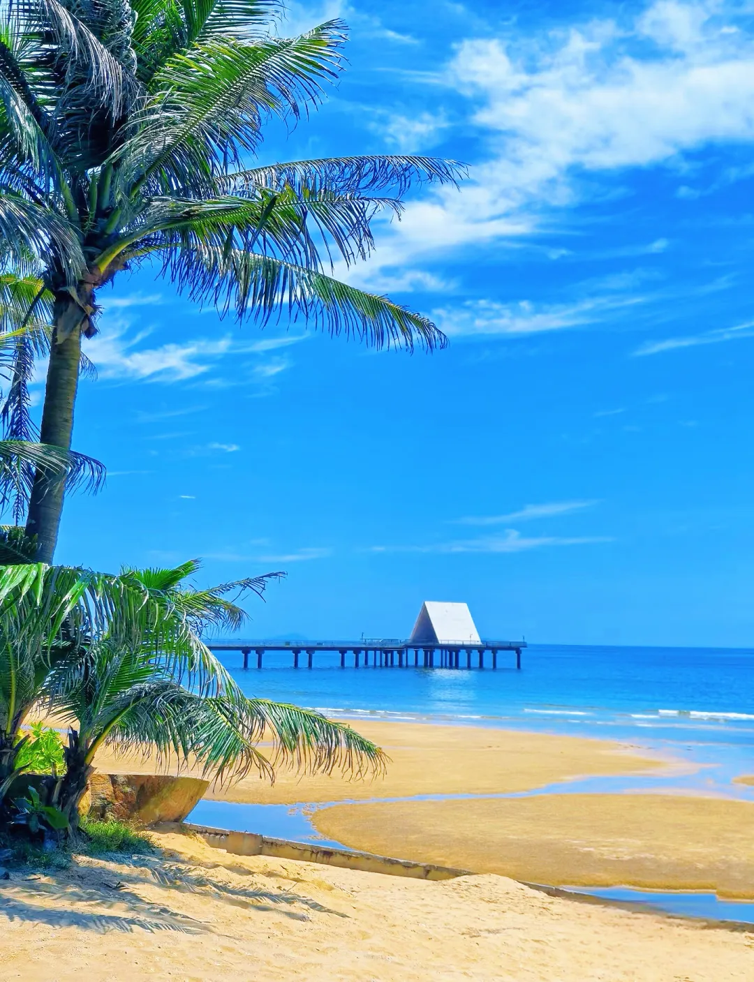 48e9aa2666812d07e85cc6eec159cda1-sz_3865548