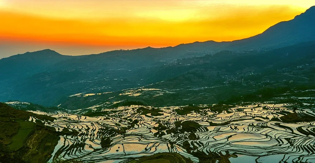 49013e4c87a788d2544c42f85dd26519-sz_241793