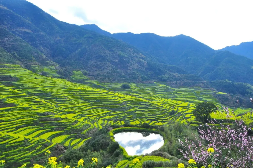 49139b5388ea5efaed832f858e0b37f7-sz_270994