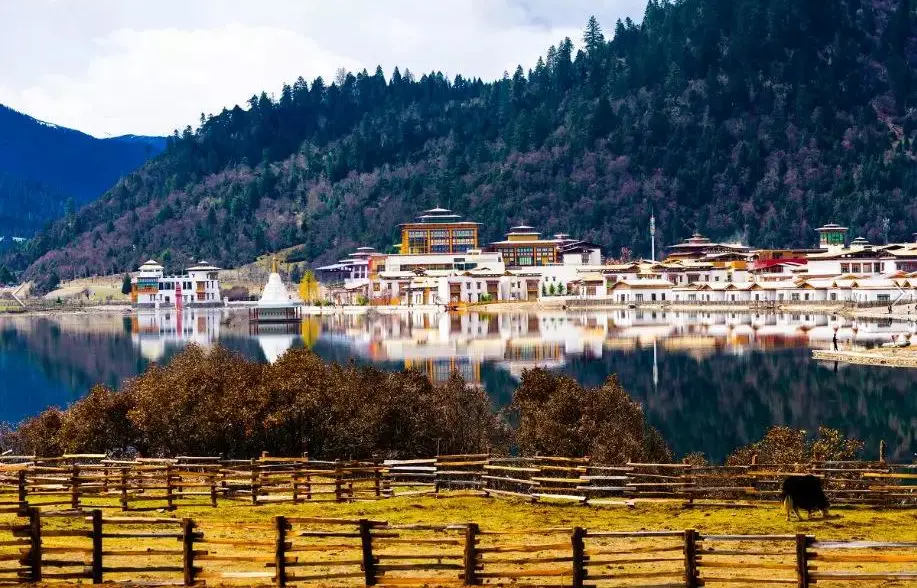 492c2ff994cacaf7966ae1d59f522b81-sz_140596