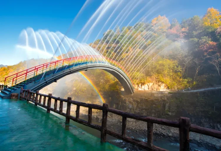 493940f32ad911d77f1d3879ff7270cb-sz_1430352