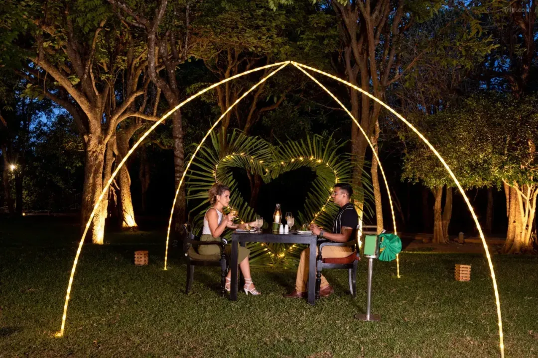 49478d3ba6b7e14419a33b3f93d24dca-sz_2225248-1