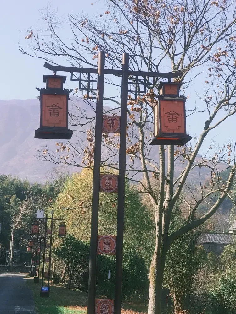 499b5237ef395f2ea59cb432b26c8610-sz_992092