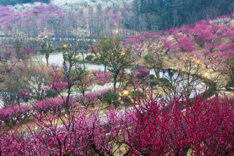 4N5Oy2UrCyGR7DbJPn6NwoDjxIzsWMHG