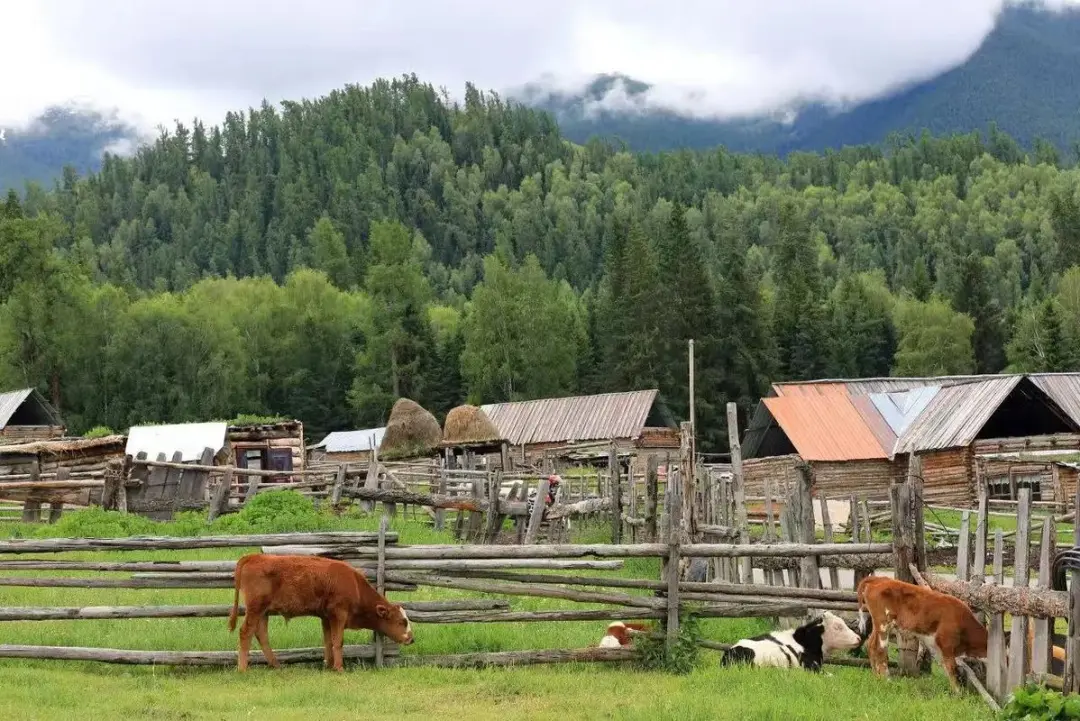 4a243ebfe78dc1a24624172527541a3b-sz_214857