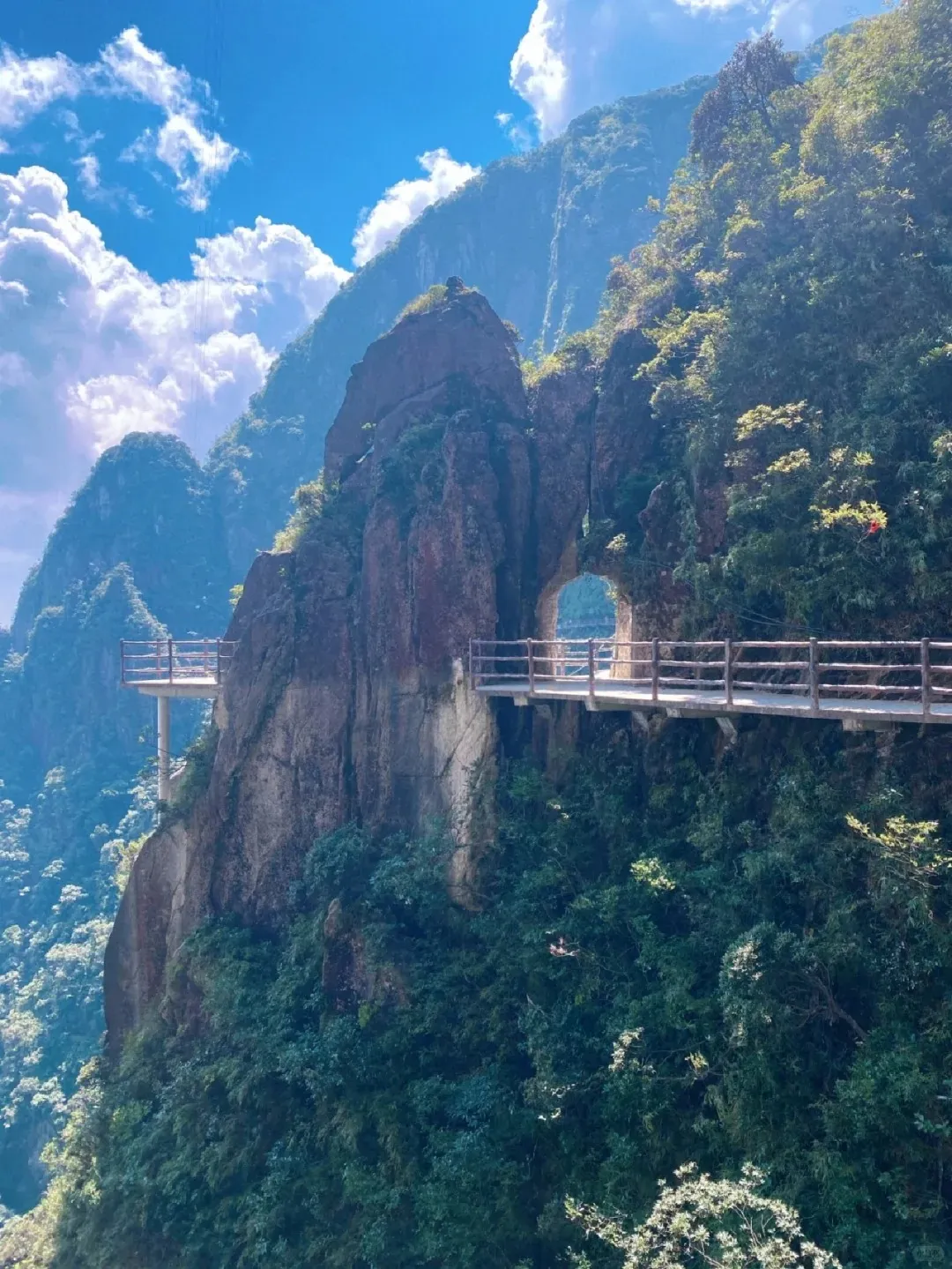 4a26ce2913599fc934bd5bcaa145e3f1-sz_442862 4a26ce2913599fc934bd5bcaa145e3f1-sz_442862