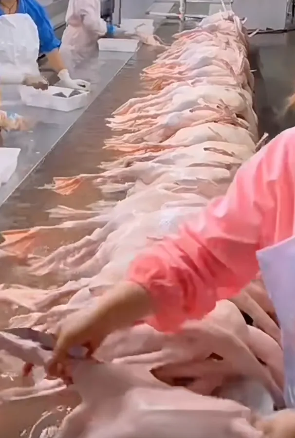 4a5c7f61b320d0a2e9579a80b0f280f9-sz_1202581