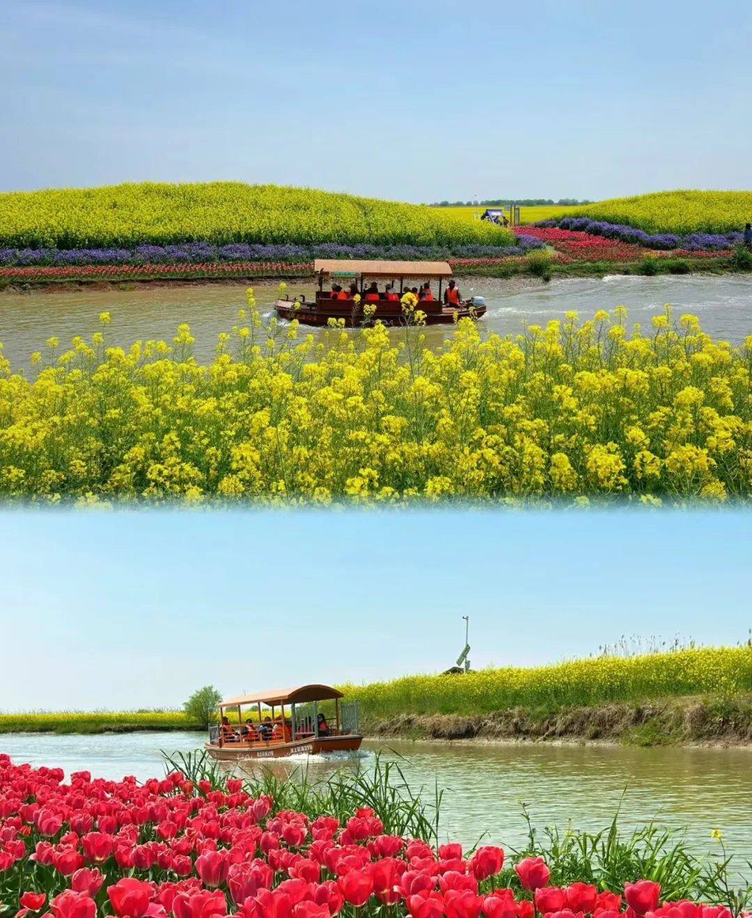 4a90e0fa3559a55a442ce76409eb97e8-sz_1506258