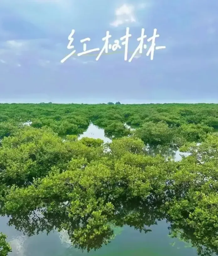 4aacf36042d56490abb3de48e685633b-sz_815440