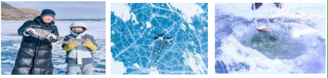 4ab23264c5389a45c933e56eaffba37e-sz_1020418