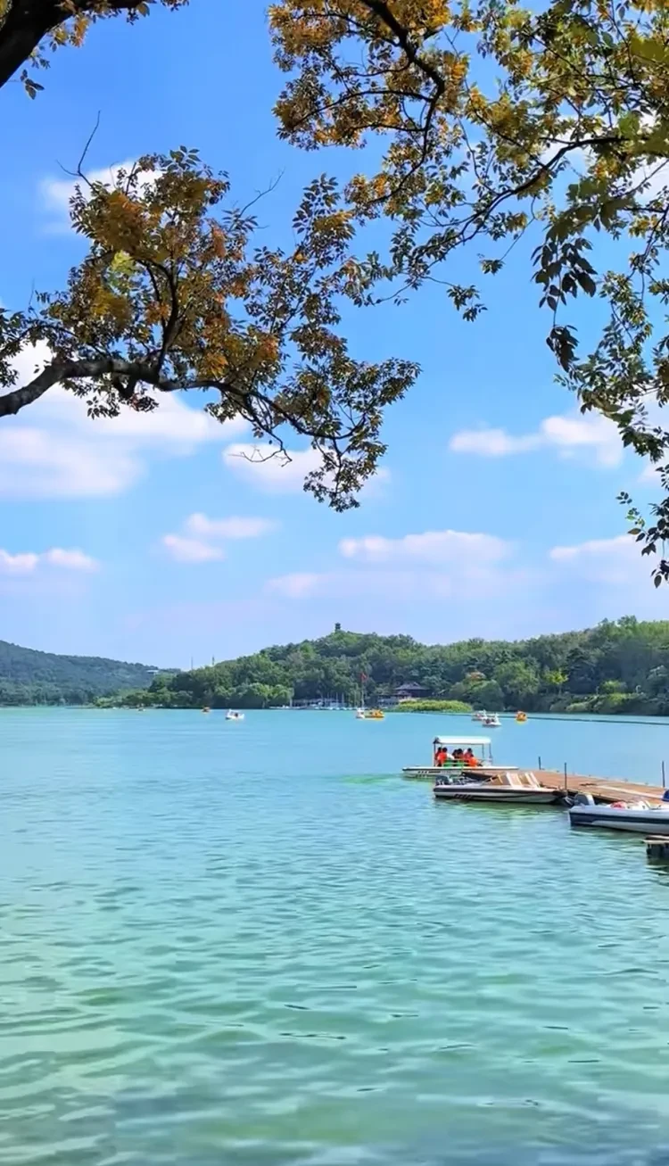 4affd65996b26b0572e1474caa49a93c-sz_884507-1