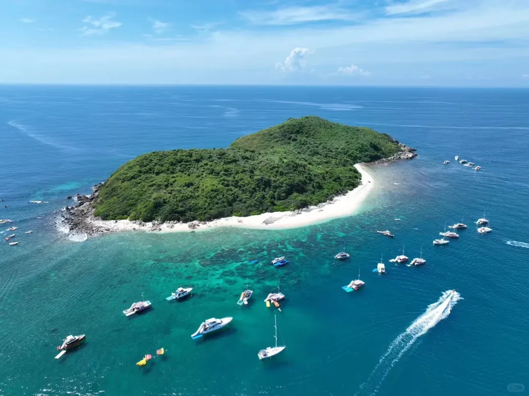 4b0fa5d0af5e8c57dd7c210caf74cf04-sz_1920026