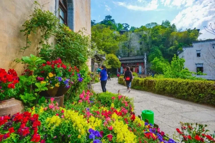 4b494b2df75addf91890150ebd1bd7ed-sz_208168