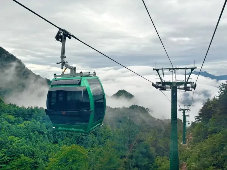 4b6f97a70783e47c74e12c0c63b25151-sz_111294