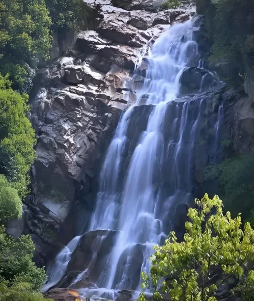 4b76137e1bd5ef8e3cf4dc2f66a4cbf9-sz_807385 4b76137e1bd5ef8e3cf4dc2f66a4cbf9-sz_807385