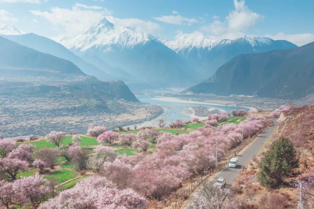 4baf8cd133dead21188a12780c45aa2f-sz_2197158