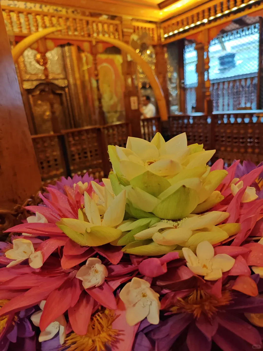 4bef0f7092728413fee0480d97f93bf6-sz_2073265