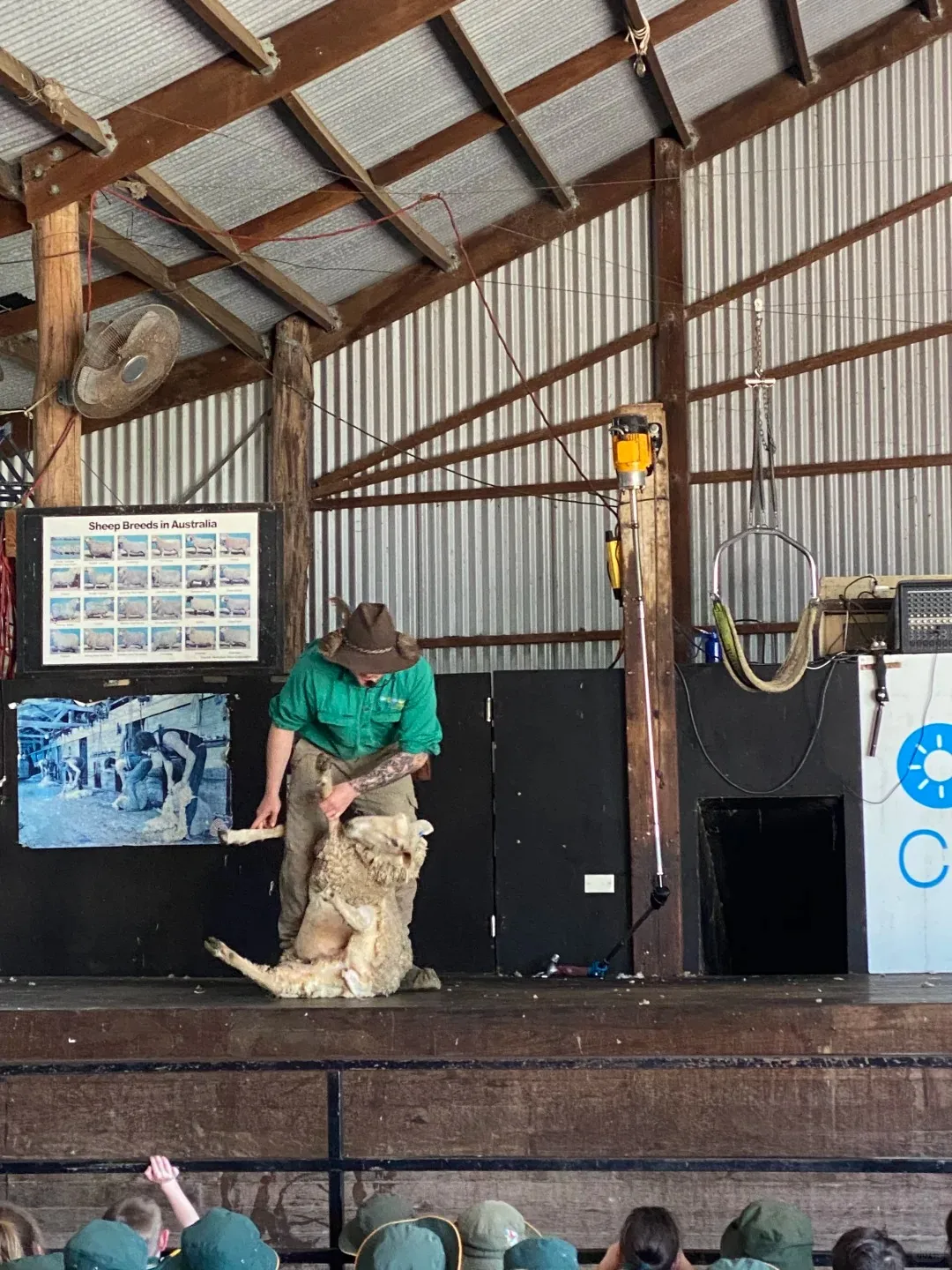 4bfb87aa1d2c3e1ec3887ee31d987d74-sz_485879