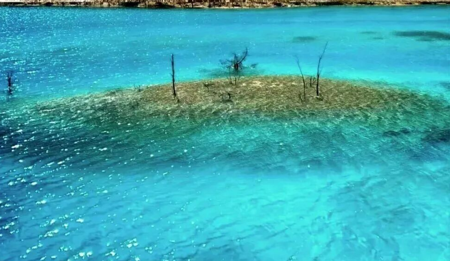 4c0687fac650b404d5ddae624d396088