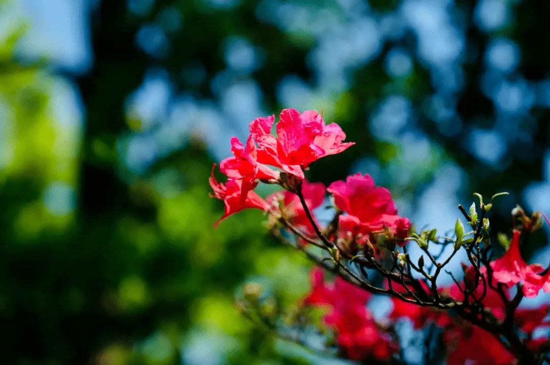 4c174f79229d2e8b427f847b30ce3c94-sz_300946