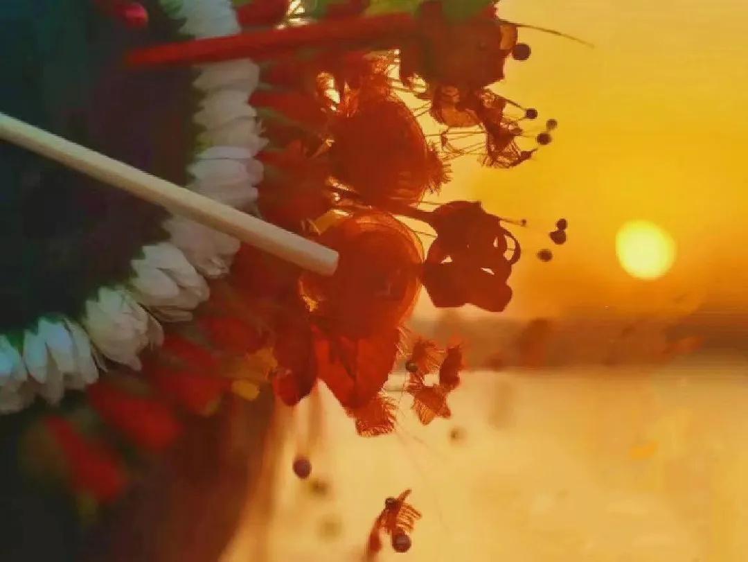 4c37e7a2a3e3ec2c5ea63933cf946668-sz_682501