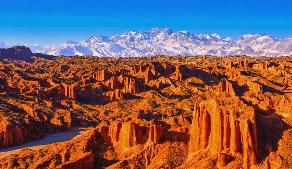 4c4092babc9a5915ae99ba8567bb2bde-sz_134052